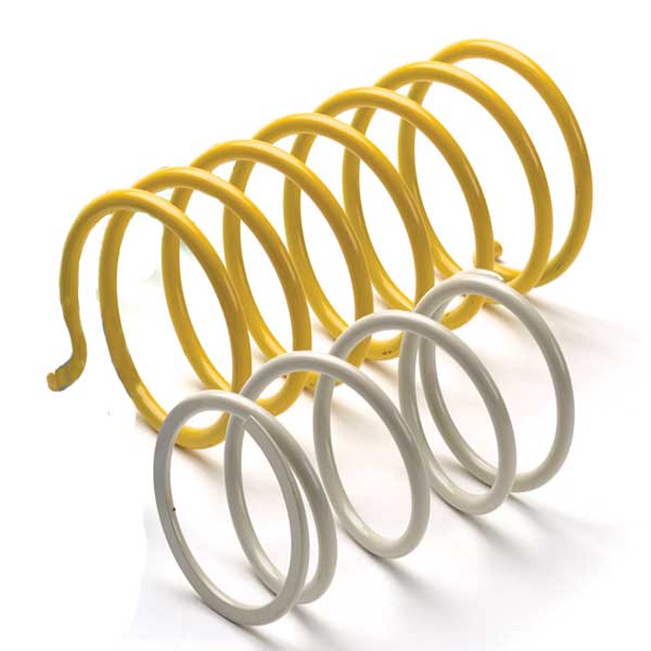 EPI SECONDARY DRIVEN SPRING Gold - Driven Powersports