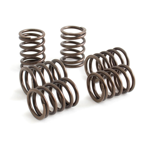 KOSO NORTH AMERICA CLUTCH SPRINGS - Driven Powersports