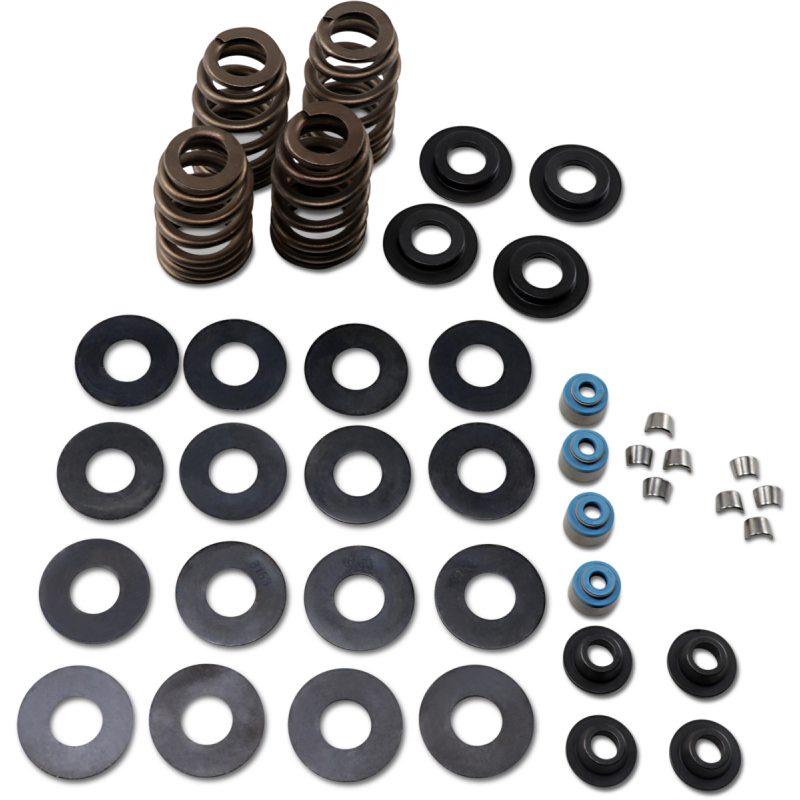 FEULING OIL PUMP CORP. 05-17 B/T ECONO BEE HIVE V/SPRING KIT Front - Driven Powersports