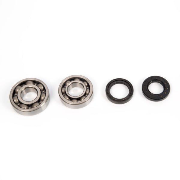 ALL BALLS RACING CRANKSHAFT BEARING AND SEAL KIT (24 - 1043) - DRIVEN Canada's Powersports 72398041407924 - 1043