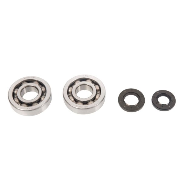 ALL BALLS RACING CRANKSHAFT BEARING AND SEAL KIT (24 - 1047) - DRIVEN Canada's Powersports 23724104724 - 1047