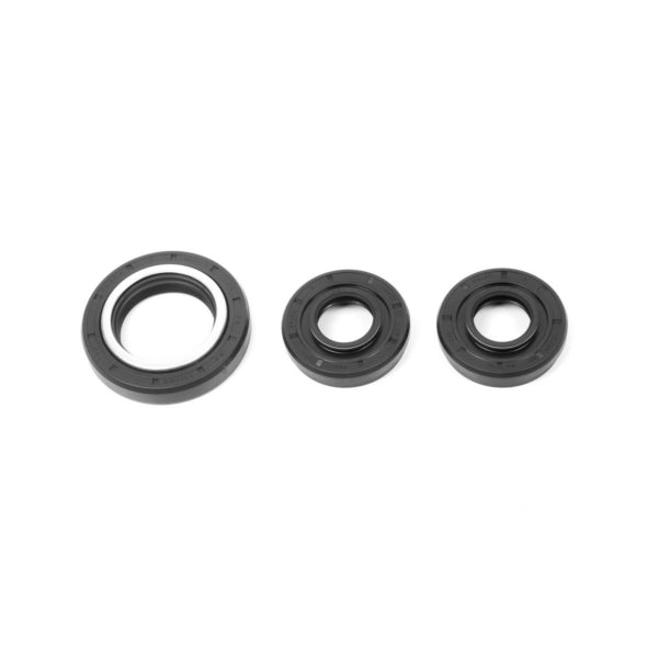 ALL BALLS RACING DIFFERENTIAL SEAL KIT (25 - 2001 - 5) - DRIVEN Canada's Powersports 237252001525 - 2001 - 5