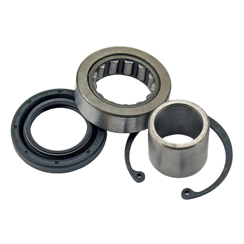 ALL BALLS RACING INNER PRIMARY MAINSHAFT BEARING AND SEAL KIT (25 - 3103) - DRIVEN Canada's Powersports 72398040580025 - 3103