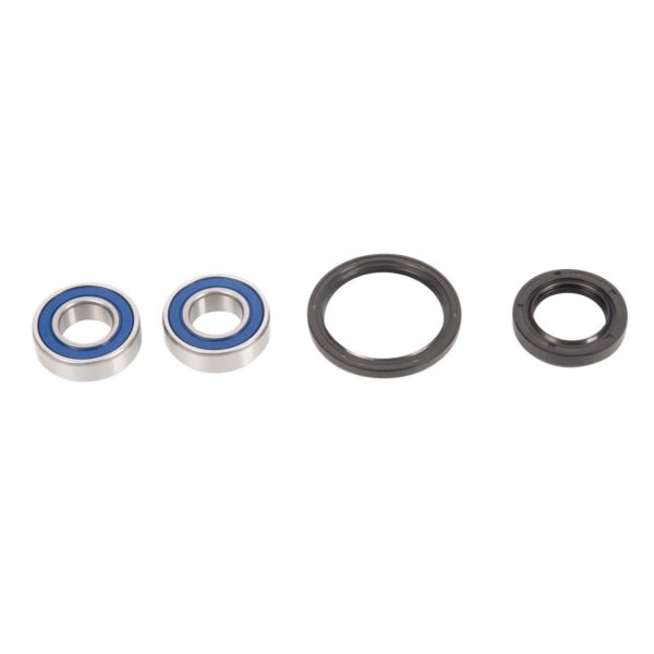 ALL BALLS RACING WHEEL BEARING KIT (25 - 1076) - DRIVEN Canada's Powersports 23725107625 - 1076