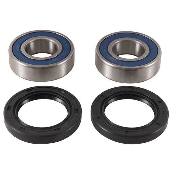 ALL BALLS RACING WHEEL BEARING KIT (25 - 1738) - DRIVEN Canada's Powersports 23725173825 - 1738
