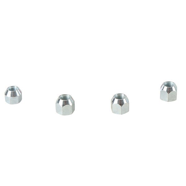 ALL BALLS RACING WHEEL NUT KIT (85 - 1244) - DRIVEN Canada's Powersports 23785124485 - 1244