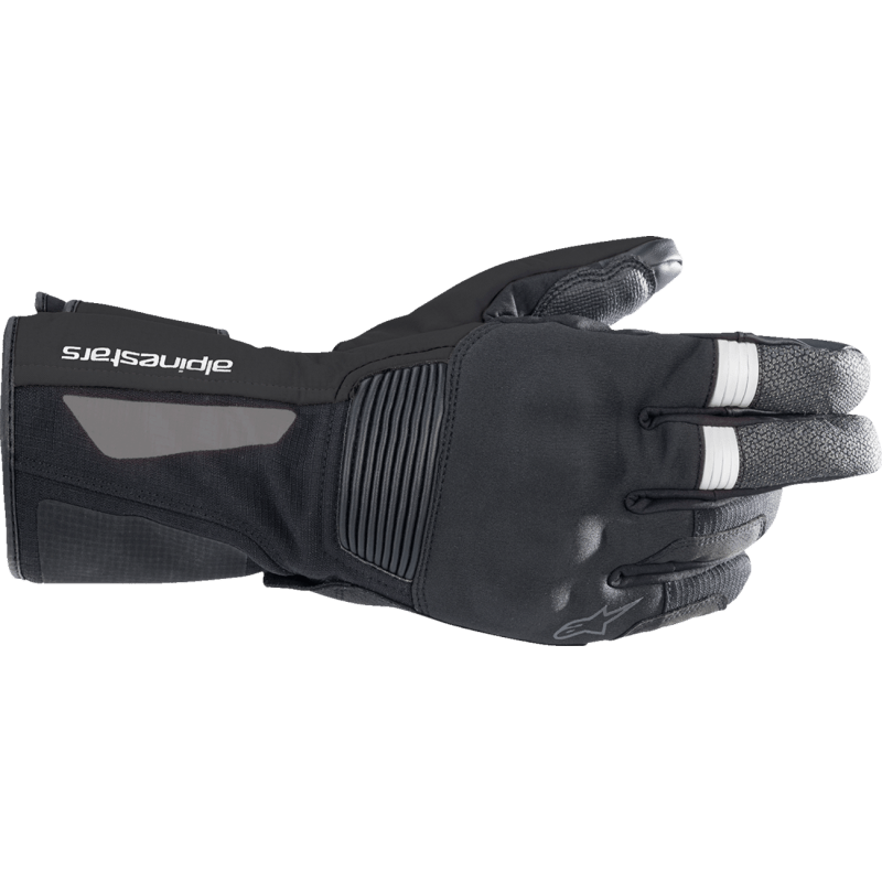 ALPINESTARS GLOVE DENALI DS - DRIVEN Canada's Powersports 80591759303553526922 - 10 - S