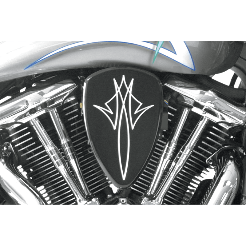 BARON BIG AIR KT PSTRP XVS13 - DRIVEN Canada's Powersports BA - 2013 - 13B