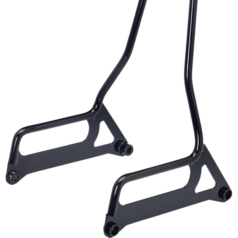 BILTWELL EXFIL SISSY BAR DYNA - DRIVEN Canada's Powersports 8100848528805003 - 101