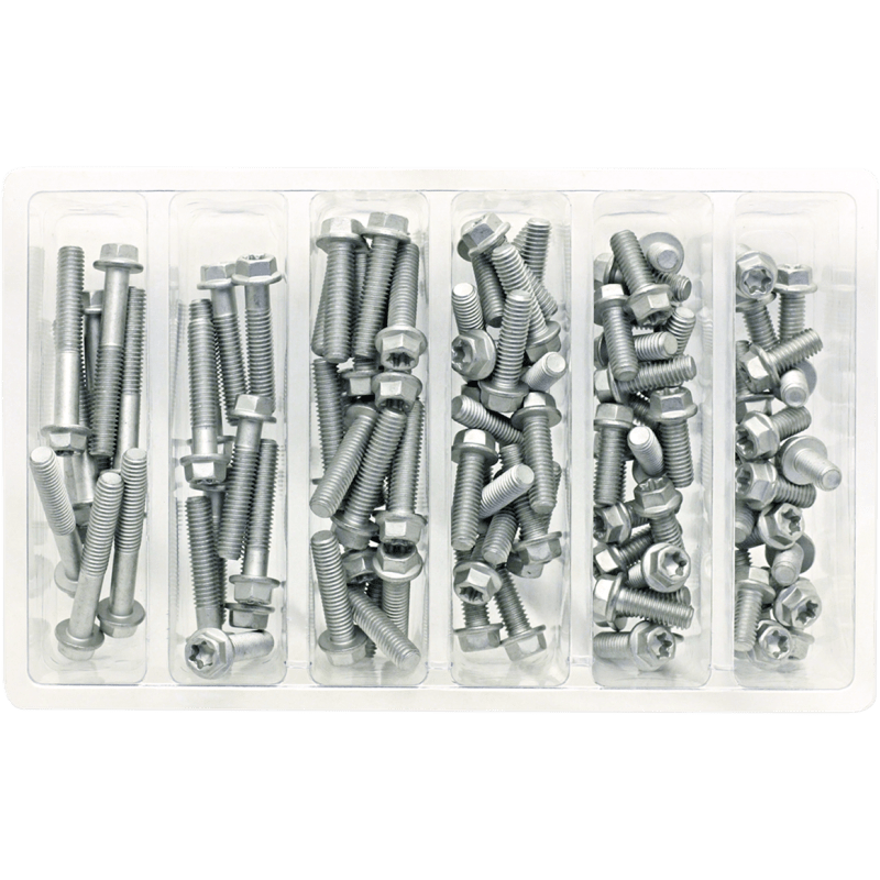 BOLT M6 EURO STYLE FLANGE ASSORTMENT (KT) (SV - M6EURO) - DRIVEN Canada's Powersports 819648021786SV - M6EURO