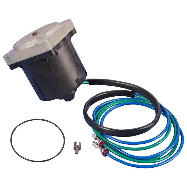 BRP EVINRUDE MOTOR AND O - RING (5005254) - DRIVEN Canada's Powersports 7454192981285005254