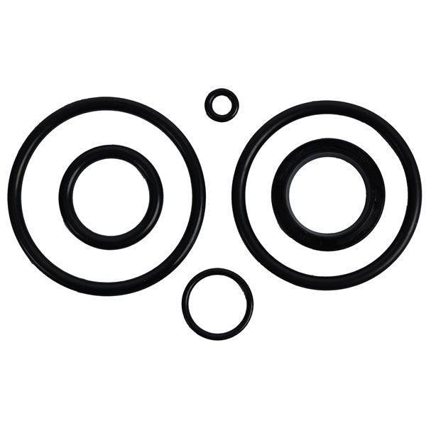 BRP EVINRUDE TILT CYLINDER O - RING KIT - DRIVEN Canada's Powersports 745419117382390007