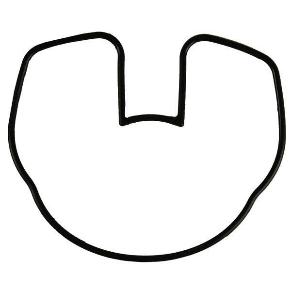 BRP EVINRUDE WATER PUMP SEAL (3853473) - DRIVEN Canada's Powersports 99999999893853473