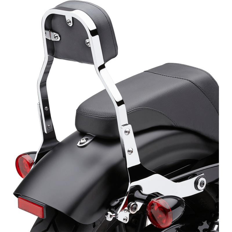 COBRA BACKREST DET MINI SFT (602 - 2022) - DRIVEN Canada's Powersports 602 - 2022