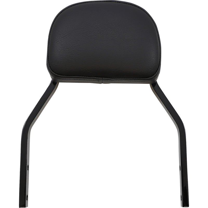 COBRA BACKREST DET MINI DYN - DRIVEN Canada's Powersports 602 - 2024B