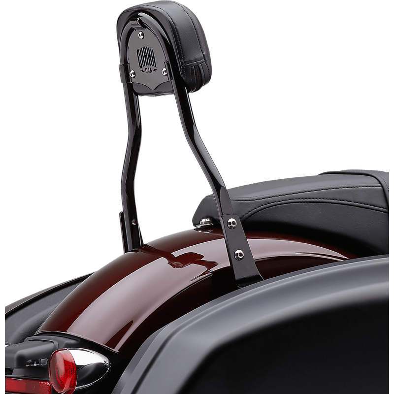 COBRA DTCH BKRST RND FLSB 19 - DRIVEN Canada's Powersports 602 - 2011B