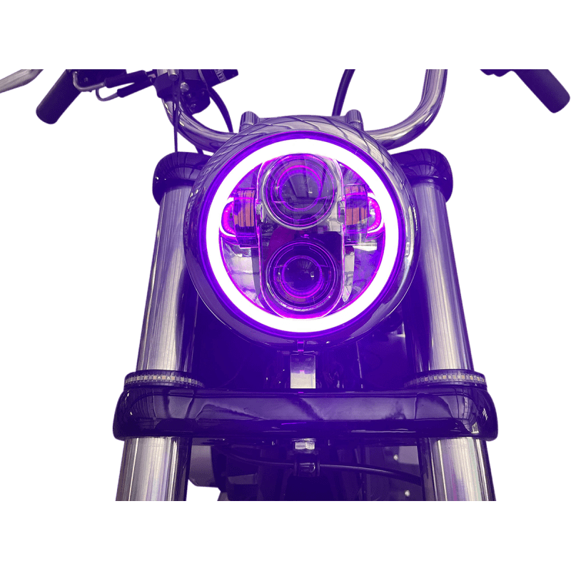 CUSTOM DYNAMICS HEADLIGHT PG 5.75"HALO C (PG - 575 - C) - DRIVEN Canada's Powersports PG - 575 - C