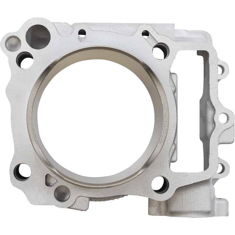 CYLINDER WORKS BIG BORE CYLINDER KIT (CW21013K01) - DRIVEN Canada's Powersports 714205042061CW21013K01