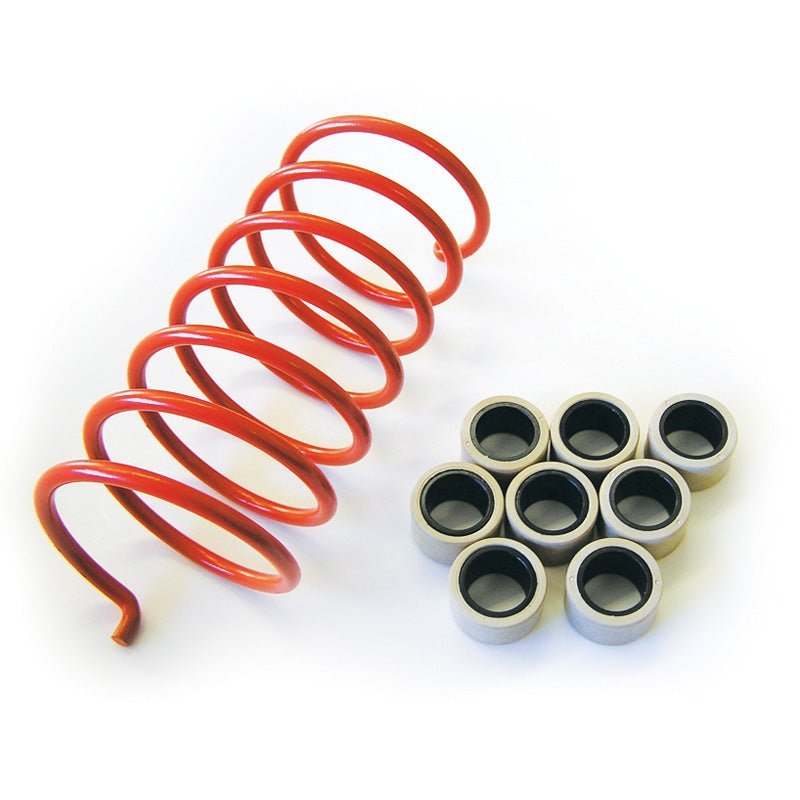 Dalton Clutch Kit For Arctic Cat - DRIVEN Canada's Powersports 472DSK750CDSK750C