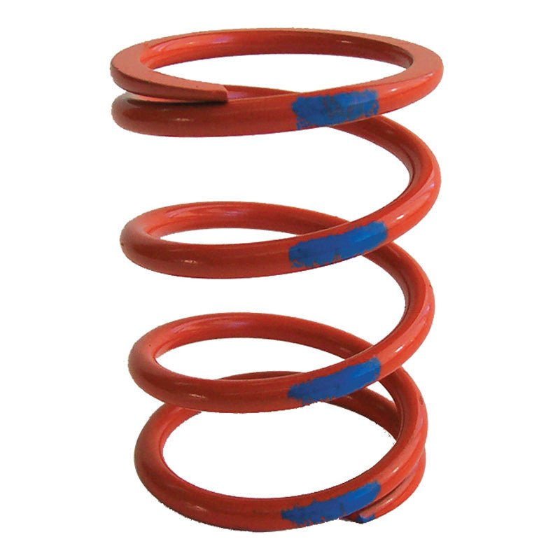 DALTON PRIMARY CLUTCH SPRINGS - DRIVEN Canada's Powersports 472DPPSOBLDPPSOBL