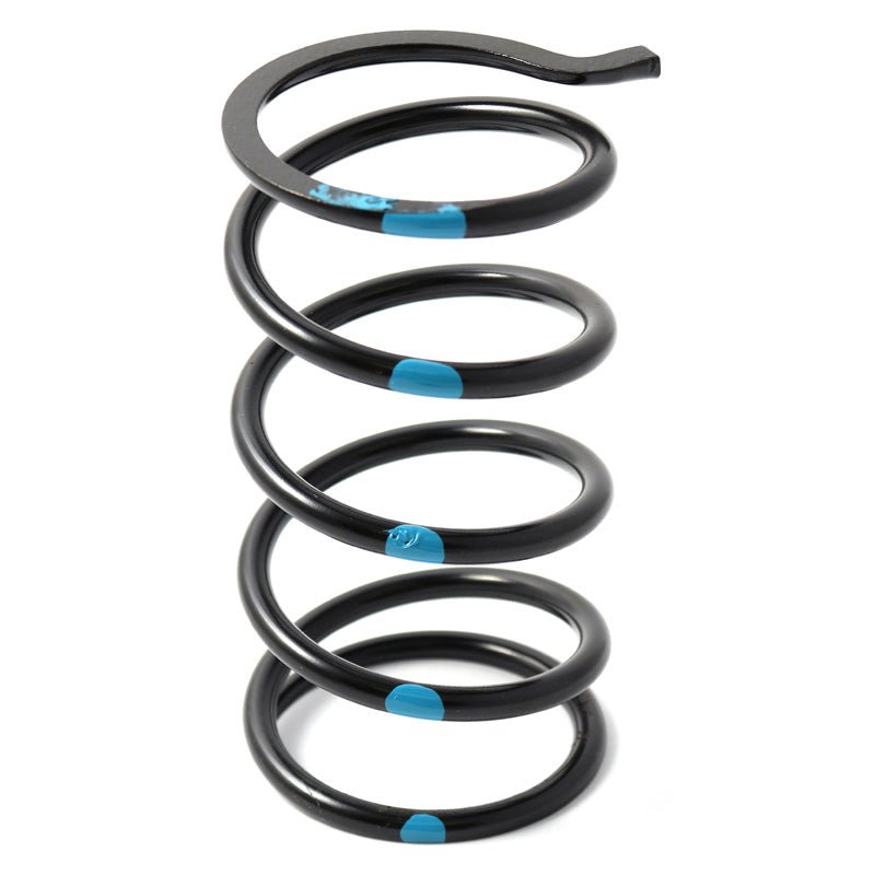 DALTON SECONDARY CLUTCH SPRINGS - DRIVEN Canada's Powersports DPSS - B/BL - TDPSS - B/BL - T