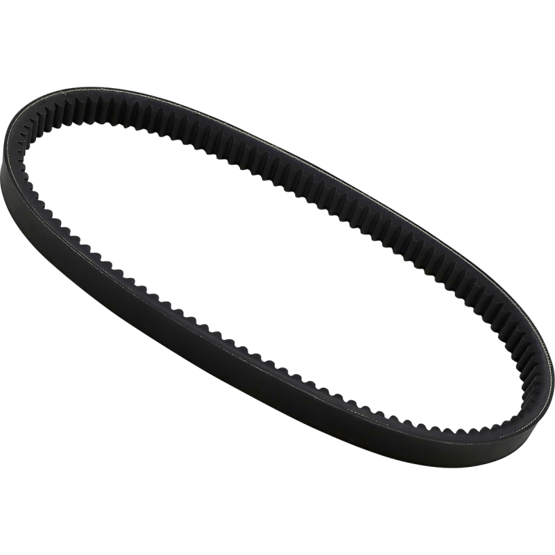 DAYCO HP DRIVE BELT (HP3001) - DRIVEN Canada's Powersports 036687315731HP3001
