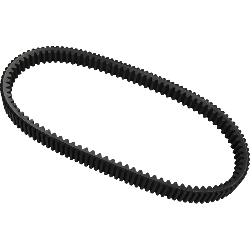 DAYCO XTX DRIVE BELT (XTX5019) - DRIVEN Canada's Powersports 036687655509XTX5019