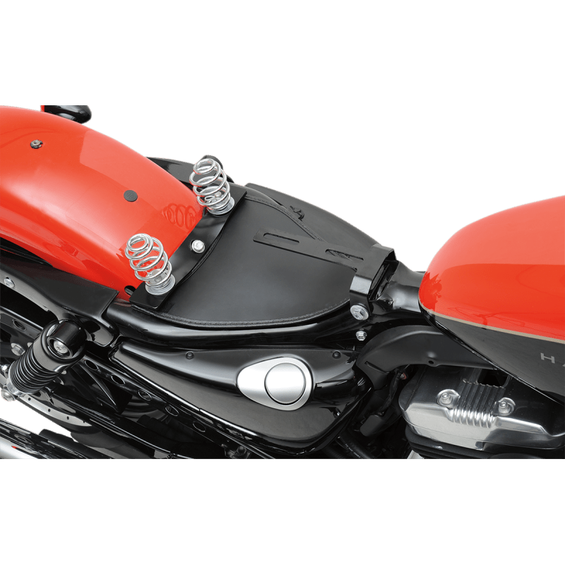 DRAG SPECIALTIES MOUNT SPSOLO 04 - 6/10 - 19 - DRIVEN Canada's Powersports 0820 - 0048