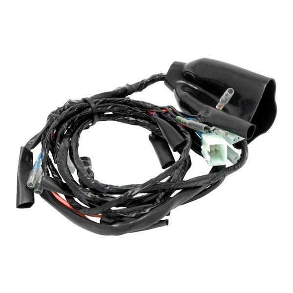 DRC/ZETA/UNIT MAIN HARNESS (D45 - 70 - 161) - DRIVEN Canada's Powersports 4547836048005D45 - 70 - 161