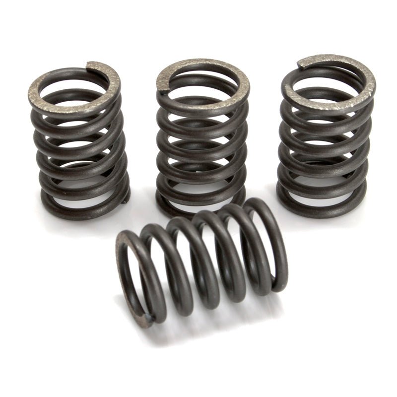 EBC CSK SPRING KITS (CSK214) - DRIVEN Canada's Powersports 058CSK214CSK214