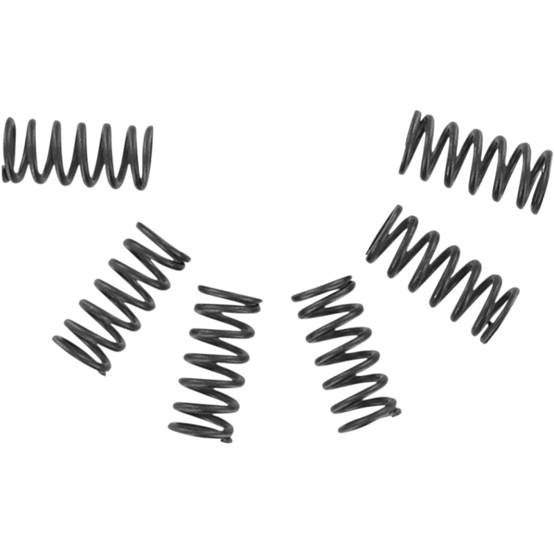 EBC CSK SPRING KITS (CSK2) - DRIVEN Canada's Powersports 058CSK2CSK2