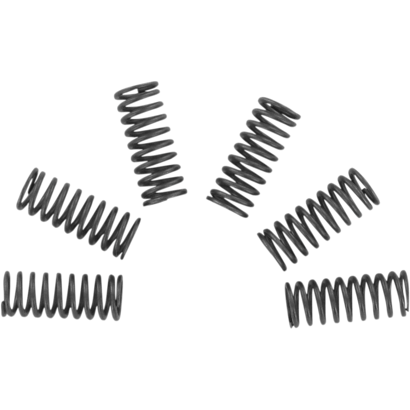 EBC CSK SPRING KITS (CSK32) - DRIVEN Canada's Powersports CSK32CSK32