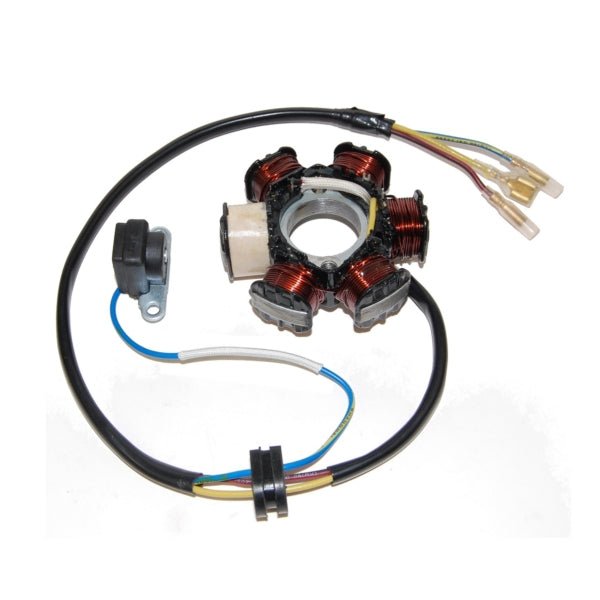 ELECTROSPORT STATOR (ESG122) - DRIVEN Canada's Powersports 799804154971ESG122