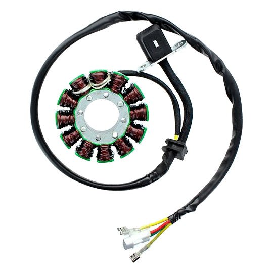 ELECTROSPORT STATOR (ESG169) - DRIVEN Canada's Powersports 0799804162129ESG169