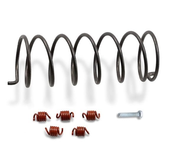 EPI CLUTCH KIT ECONOMY (WE490400) - DRIVEN Canada's Powersports WE490400WE490400