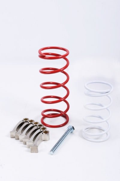 EPI CLUTCH KIT SPORT UTILITY (WE437055) - DRIVEN Canada's Powersports WE437055WE437055