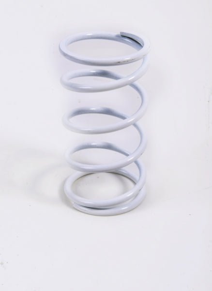 EPI PRIMARY CLUTCH SPRING (DRIVE) - DRIVEN Canada's Powersports BCS22