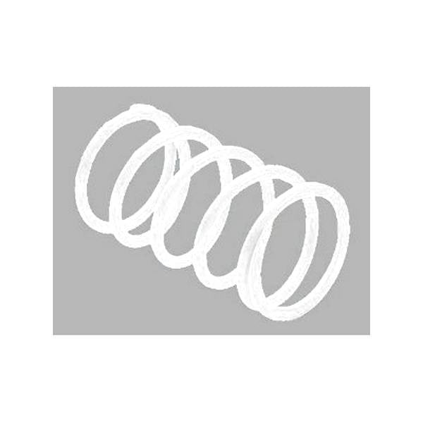 EPI PRIMARY CLUTCH SPRING (DRIVE) - DRIVEN Canada's Powersports PATV12