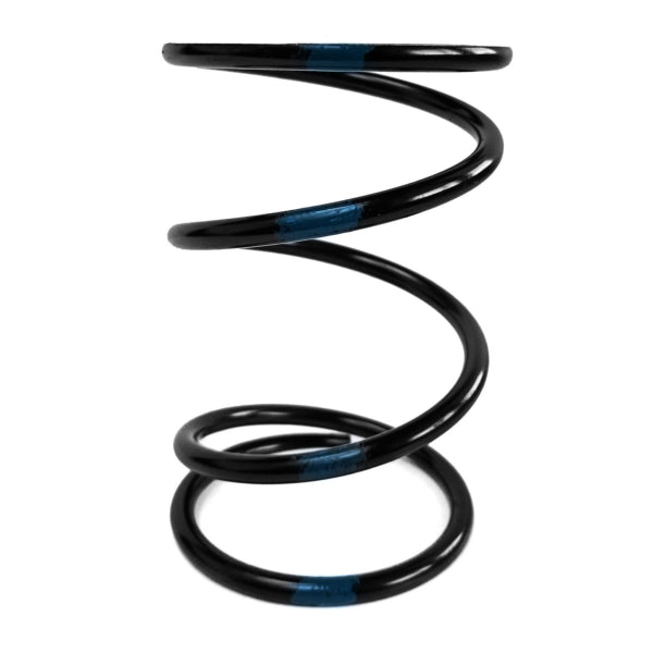 EPI SECONDARY CLUTCH SPRING (DRIVEN) (PEBS28) - DRIVEN Canada's Powersports PEBS28PEBS28