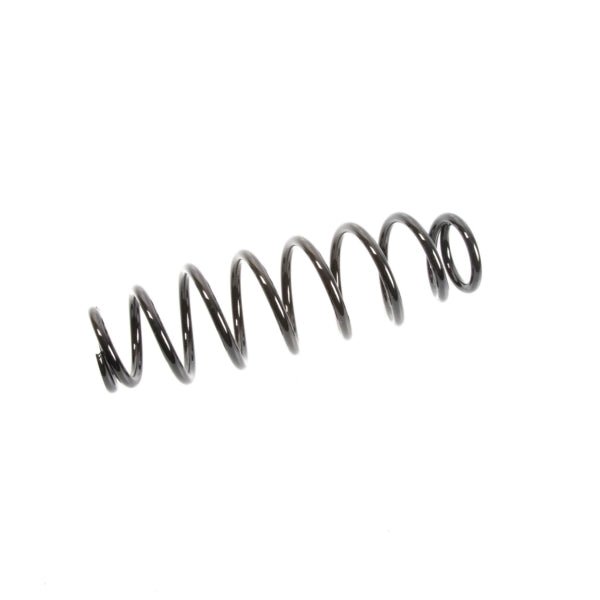 EPI SUSPENSION SPRING (WE325117) - DRIVEN Canada's Powersports WE325117WE325117
