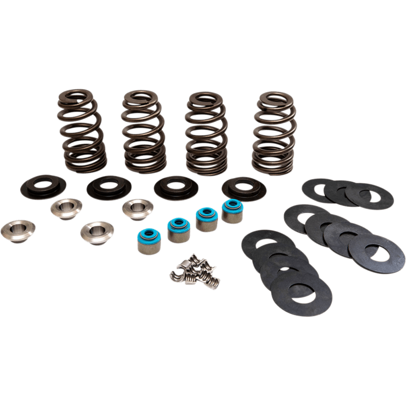 FEULING OIL PUMP CORP. VALVE SPRINGS ECONO TC (1123) - DRIVEN Canada's Powersports 1123