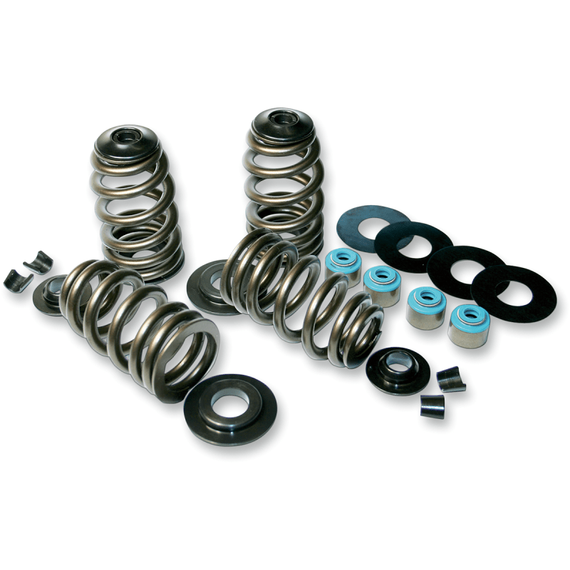 FEULING OIL PUMP CORP. 85 - 04 B/T ECONO BEEHIVE V/SPRING KIT (1120) - DRIVEN Canada's Powersports 1120