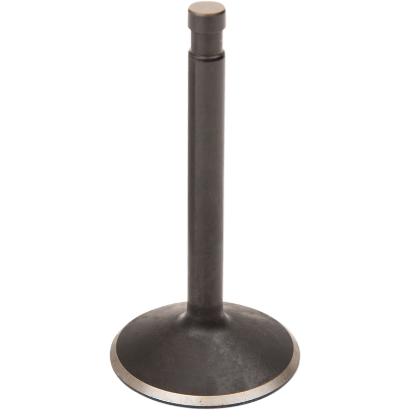 KIBBLEWHITE 2.00" 66 - 84 B/T INTK VALVE OVERSIZED (20 - 4256) - DRIVEN Canada's Powersports 20 - 4256