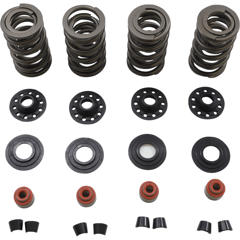 KIBBLEWHITE SPRING KIT 05 - 17 TC/XL (20 - 23600) - DRIVEN Canada's Powersports 20 - 23600