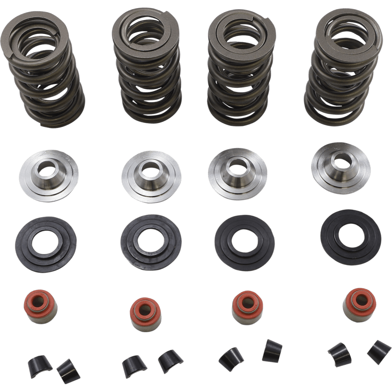KIBBLEWHITE SPRING KIT 05 - 17 TC/XL (20 - 23650) - DRIVEN Canada's Powersports 20 - 23650