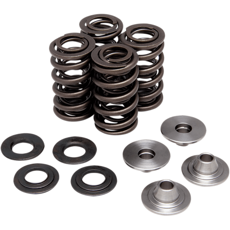 KIBBLEWHITE SPRING KIT KX/RMZ 250 (40 - 40100) - DRIVEN Canada's Powersports 40 - 40100