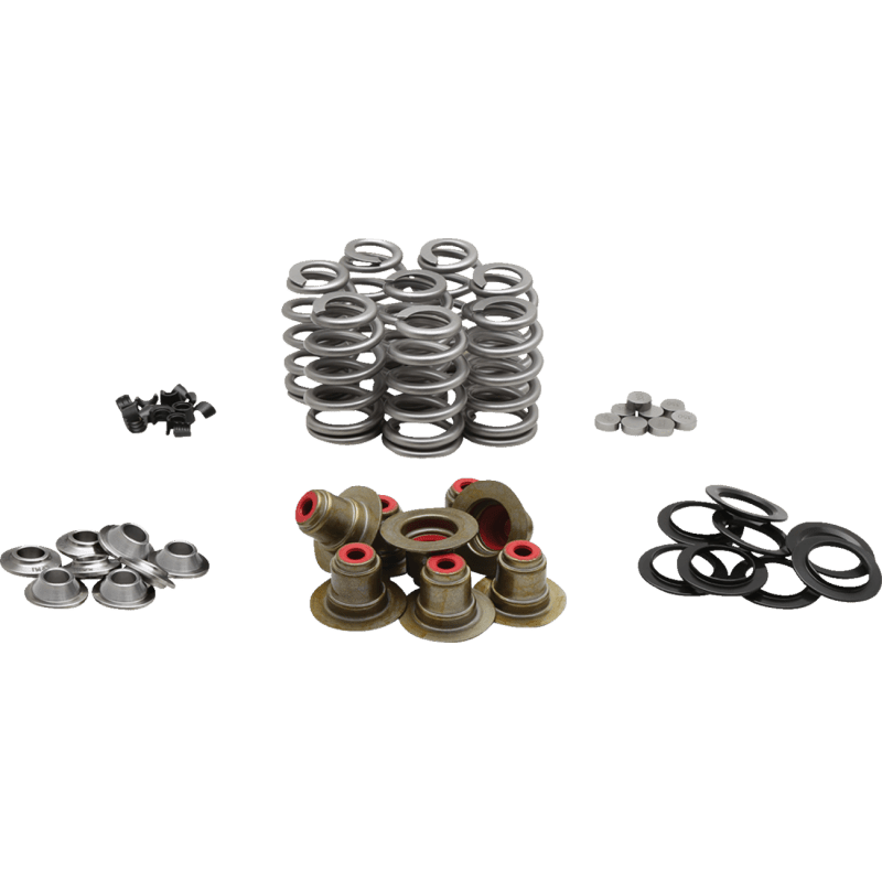 KIBBLEWHITE SPRING KT SHIM M8 BHIV KT - DRIVEN Canada's Powersports 20 - 23900