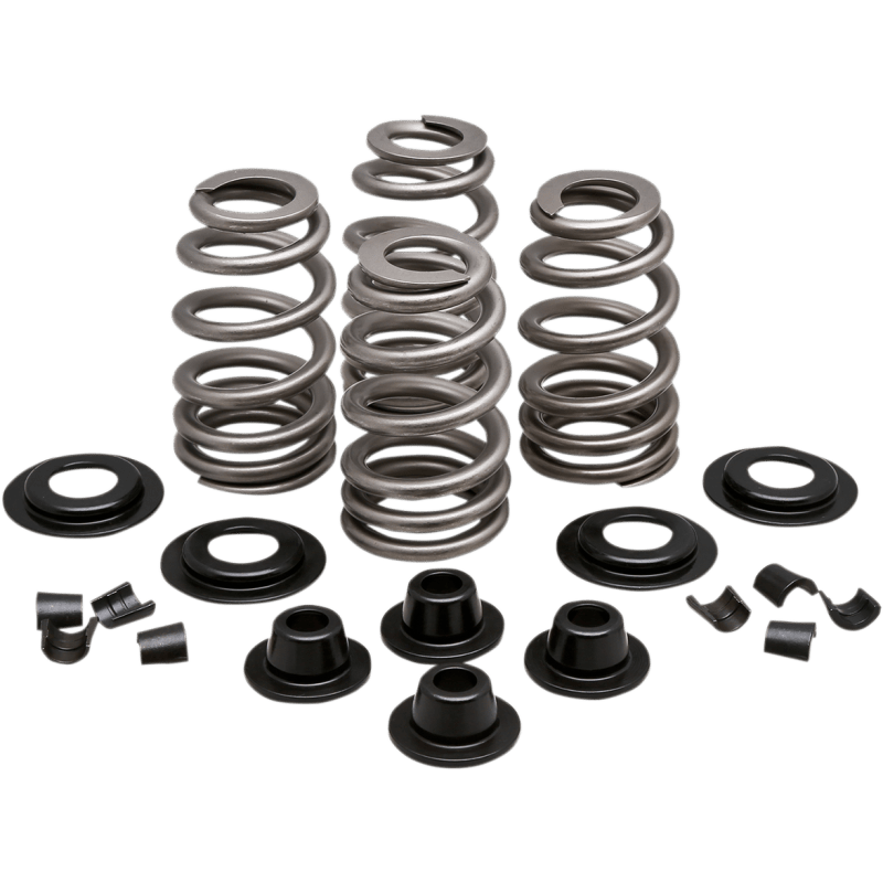 KIBBLEWHITE SPRING KT.610"84 - 04EVO/TC (20 - 21300) - DRIVEN Canada's Powersports 20 - 21300