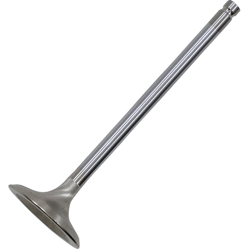 KIBBLEWHITE VALVE EX STD HON1000 16+ (30 - 33816K) - DRIVEN Canada's Powersports 30 - 33816K