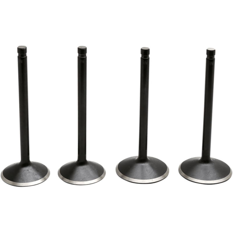 KIBBLEWHITE VALVE KIT 1999 - 04 HD TWIN 88" - DRIVEN Canada's Powersports 20 - 23000